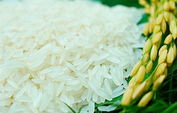 Cập nhật giá gạo hôm nay 30/9: Tăng nhẹ