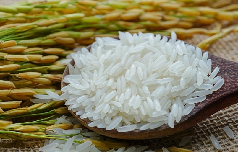 Hàn Quốc mở thầu mua gạo theo cơ chế hạn ngạch thuế quan