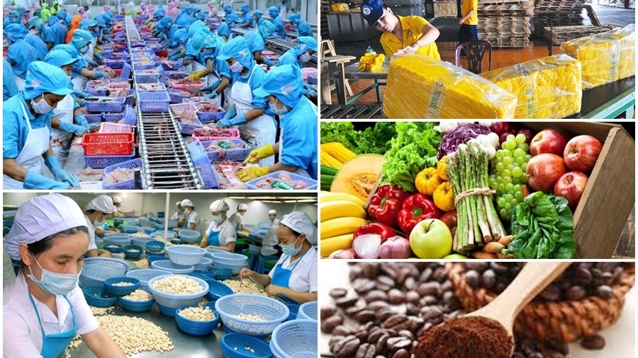 Xuất khẩu nông sản - “Điểm sáng” của nền kinh tế