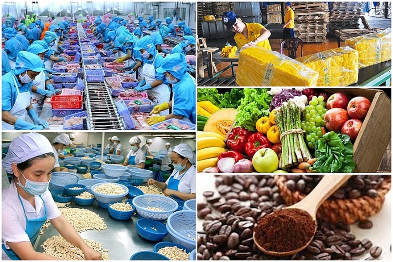 Xuất khẩu nông sản - “Điểm sáng” của nền kinh tế