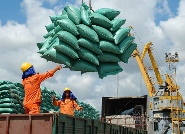 Xuất khẩu gạo giảm, doanh nghiệp khó chồng khó vì nghẽn cảng