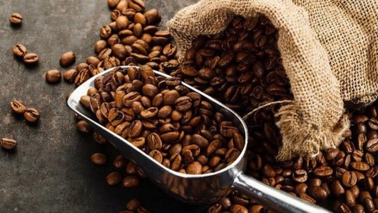 Anh giảm mạnh nhập khẩu cà phê từ Việt Nam