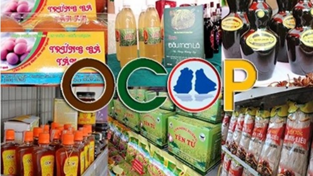 Chủ thể OCOP cần biết gì về tiêu chí đánh giá, phân hạng sản phẩm?