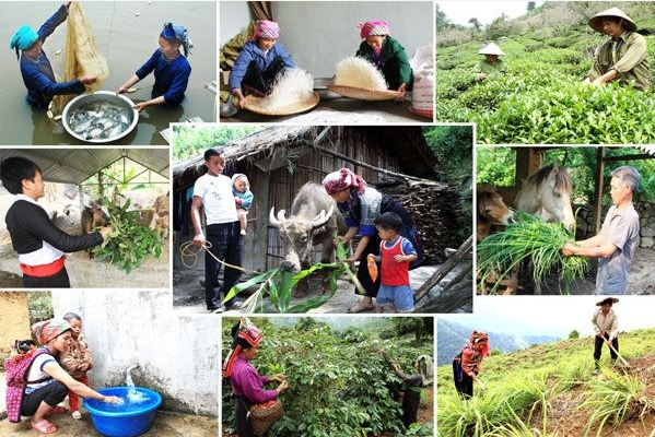 17 mục tiêu phát triển bền vững của Việt Nam