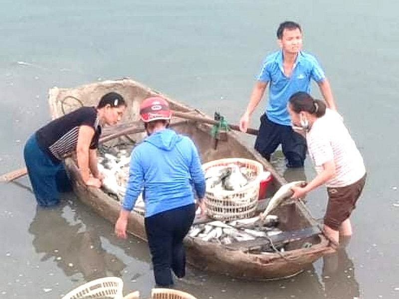Người dân thu gom cá chết trên sông Lạch Bạng