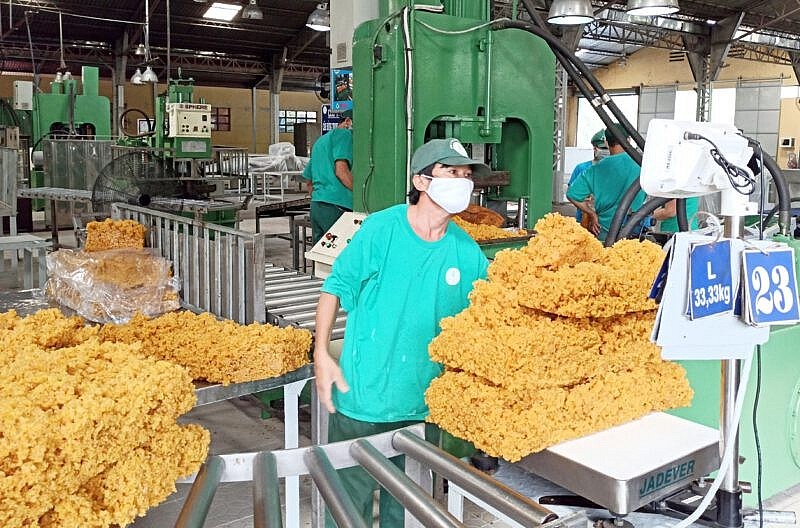 Mỹ tăng mạnh nhập khẩu cao su Việt Nam