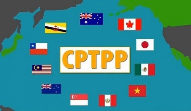 Hiệp định CPTPP và cam kết thuế quan của Canada đối với giày dép Việt Nam
