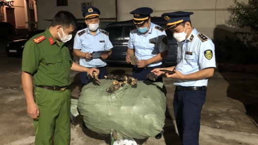 Bản tin hàng giả hàng nhái: Ngăn chặn kịp thời 650kg nấm không rõ nguồn gốc tại Lạng Sơn