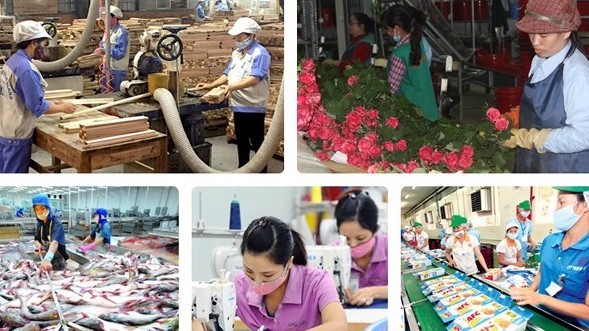GDP Việt Nam quý III/2021 tăng trưởng âm 6,17%