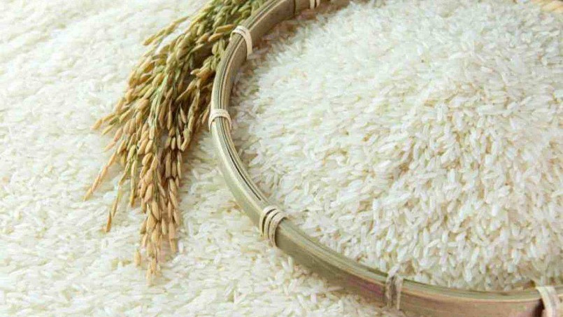 Cập nhật giá lúa gạo hôm nay 29/9/2021: Không có biến động