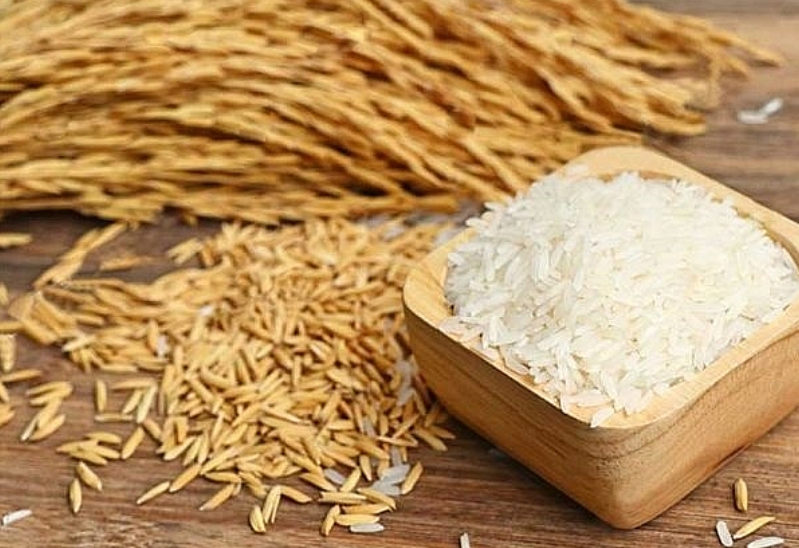 Cập nhật giá lúa gạo hôm nay 30/9/2021: Duy trì ổn định