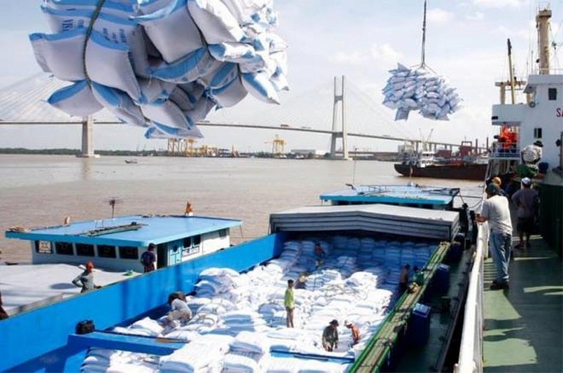 Xuất khẩu gần 2 triệu tấn gạo qua cảng TP.HCM