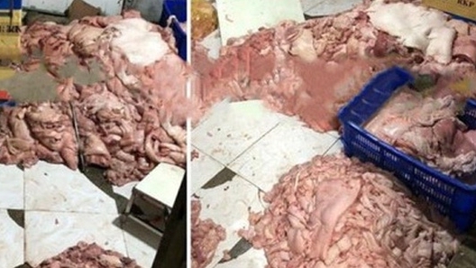 Đồng Nai: Tiêu hủy 1,5 tấn mỡ lợn bốc mùi hôi thối chuẩn bị đem đi tiêu thụ