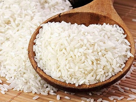 Cập nhật giá gạo hôm nay 10/10: Ổn định