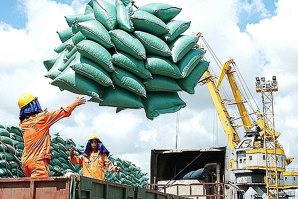 Xuất khẩu gạo giảm về lượng nhưng tăng về giá trị