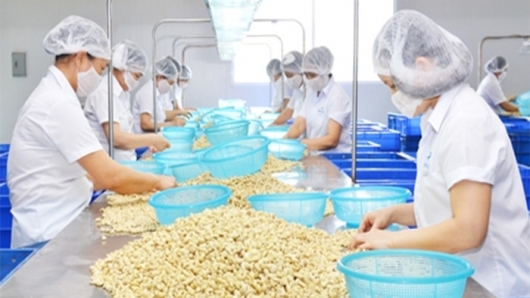 Tăng mua dịp gần Tết, xuất khẩu hạt điều sang Mỹ, Trung Quốc khởi sắc