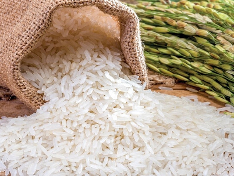 Cập nhật giá gạo hôm nay 21/10: Tăng từ 100 – 300 đồng/kg