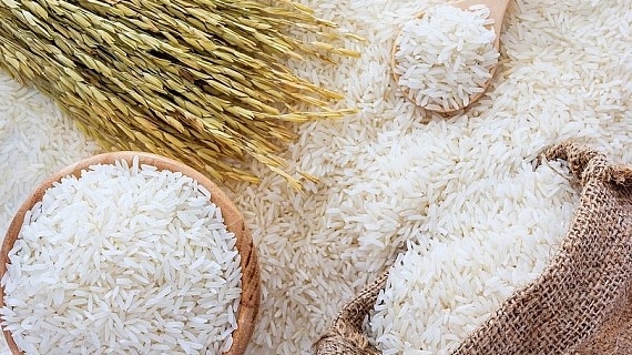 Cập nhật giá gạo hôm nay 26/10: Đầu tuần trầm lắng