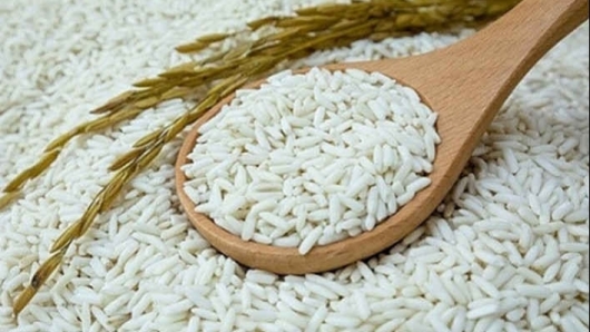 Cập nhật giá gạo hôm nay 28/10: Ổn định