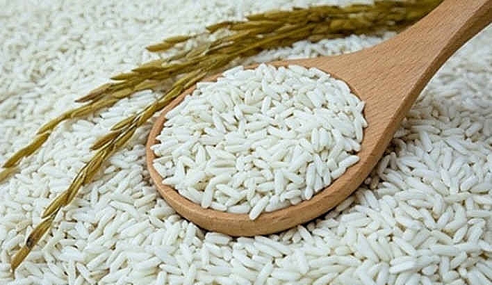Cập nhật giá gạo hôm nay 28/10: Ổn định