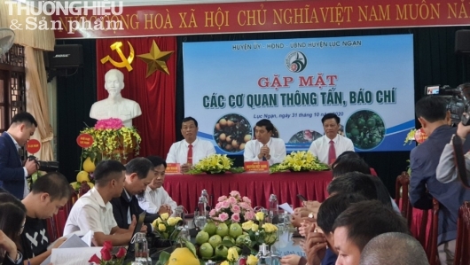 Huyện Lục Ngạn họp báo công bố Hội chợ cam, bưởi và các sản phẩm đặc trưng năm 2020