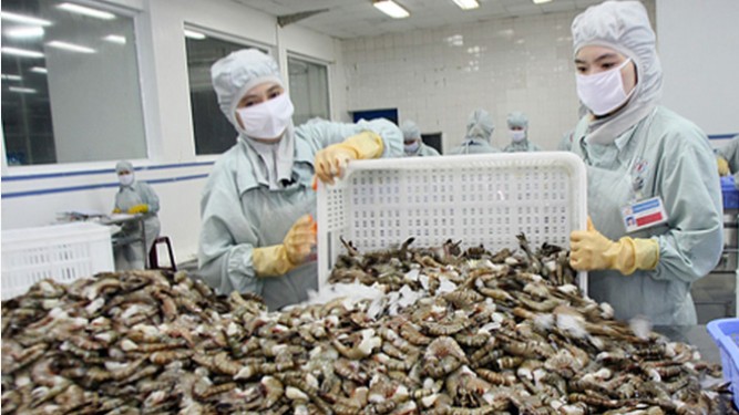 Nắm bắt cơ hội đẩy mạnh xuất khẩu tôm sang Nga
