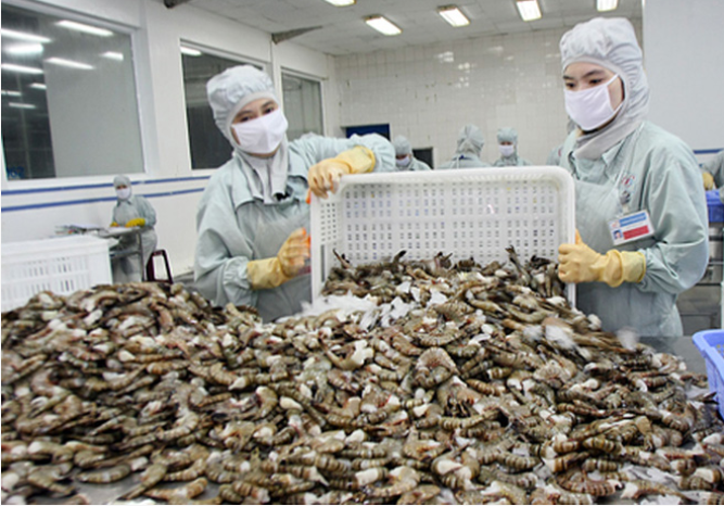 Nắm bắt cơ hội đẩy mạnh xuất khẩu tôm sang Nga