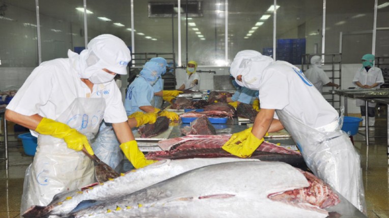 Xuất khẩu cá ngừ sang thị trường Mexico tăng 263%