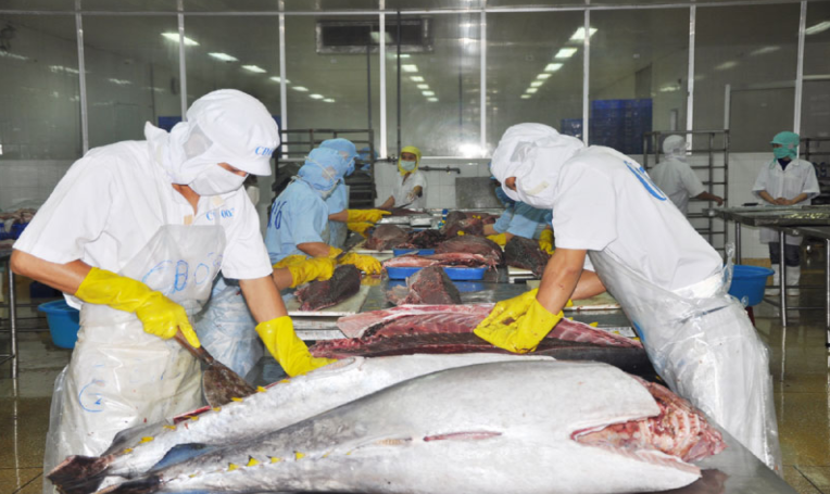 Xuất khẩu cá ngừ sang Mexico tăng 263%