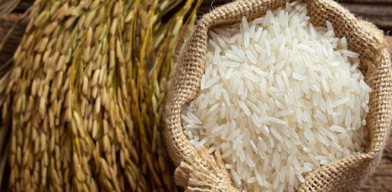 Cập nhật giá lúa gạo hôm nay 8/10/2021: Tiếp tục giảm