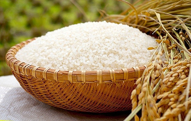 Cập nhật giá lúa gạo hôm nay 9/10/2021: Duy trì ổn định