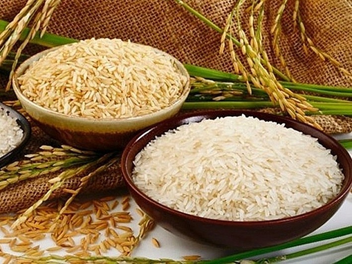 Cập nhật giá lúa gạo hôm nay 11/10/2021: Giá gạo nguyên liệu bật tăng