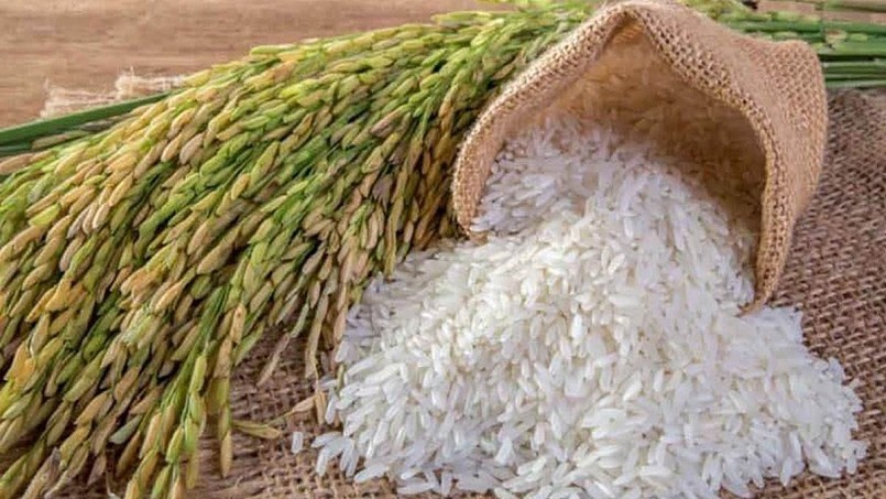 Cập nhật giá lúa gạo hôm nay 15/10/2021: Biến động trái