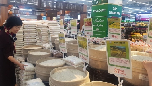 Giá gạo xuất khẩu của Việt Nam tiếp tục tăng mạnh