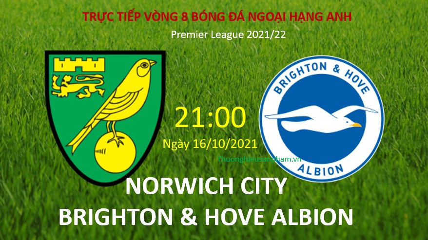 Link xem trực tiếp Norwich vs Brighton 21h00 ngày 16/10/2021, vòng 8 Ngoại hạng Anh