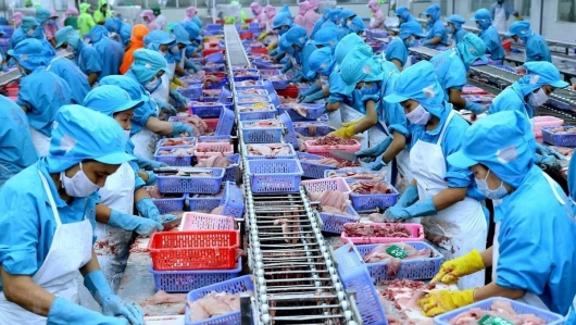 Việt Nam xuất khẩu thủy sản nhiều nhất sang thị trường Mỹ