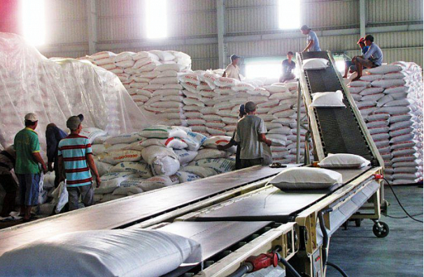 Thị trường gạo Châu Á: Giá gạo xuất khẩu của các nước ổn định