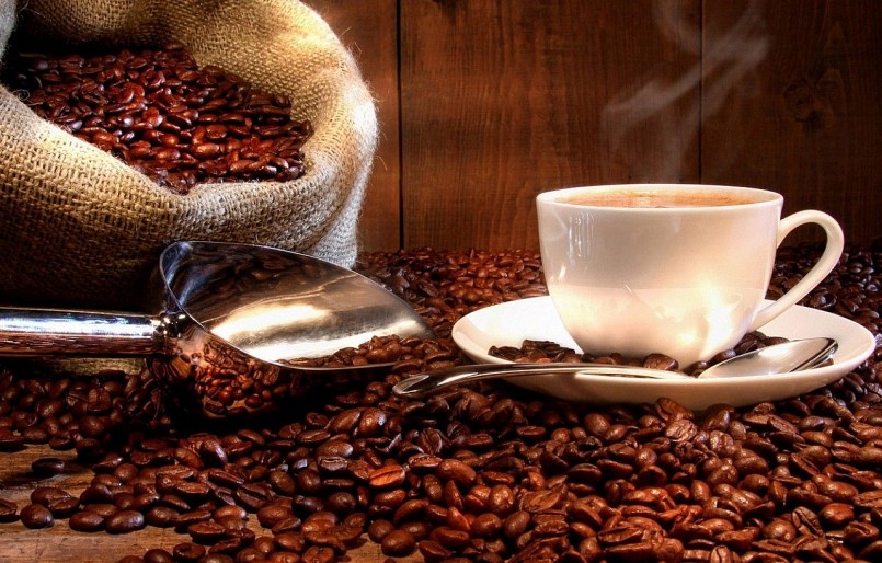 Ban hành Bộ quy tắc tham chiếu về cà phê bền vững