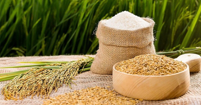 Cập nhật giá lúa gạo hôm nay 28/10/2021: Biến động