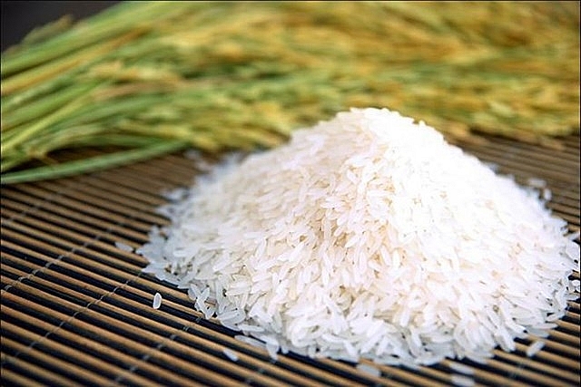 Cập nhật giá gạo hôm nay 5/11: Giảm nhẹ
