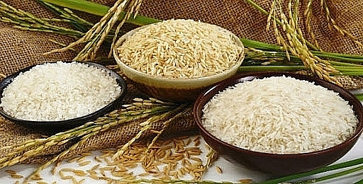 Cập nhật giá gạo hôm nay 7/11: Giá gạo bật tăng