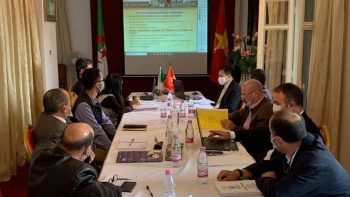 Tăng cường xúc tiến thương mại, đầu tư Việt Nam-Algeria