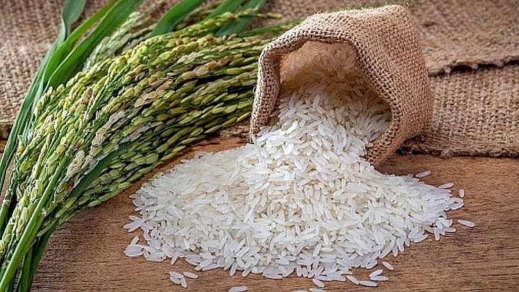 Cập nhật giá gạo hôm nay 19/11: Gạo bán lẻ giảm nhẹ