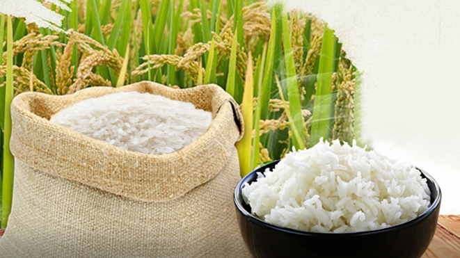 Cập nhật giá gạo hôm nay 22/11: Giữ mức ổn định