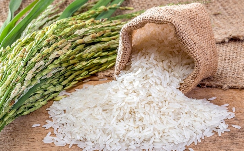 Cập nhật giá gạo hôm nay 25/11: Tiếp tục giảm