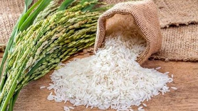 11 tháng, lượng gạo xuất khẩu ước đạt trên 5,35 triệu tấn