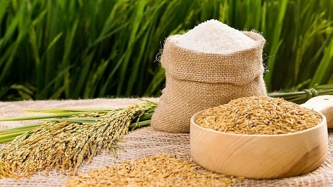 Cập nhật giá gạo hôm nay 30/11: Đầu tuần tăng nhẹ