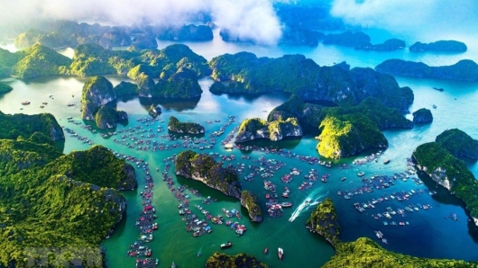 Thủ tướng yêu cầu tăng cường hiệu quả công tác quản lý khu bảo tồn biển Việt Nam