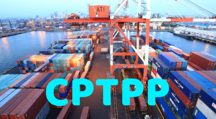 Bổ sung quy định áp dụng Biểu thuế xuất nhập khẩu ưu đãi theo Hiệp định CPTPP
