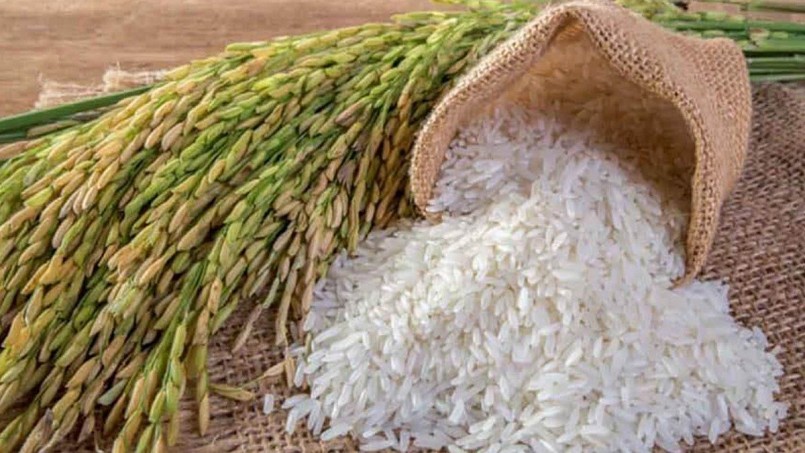 Cập nhật giá lúa gạo hôm nay 3/11/2021: Giá gạo xuất khẩu tăng lên 5 USD/tấn